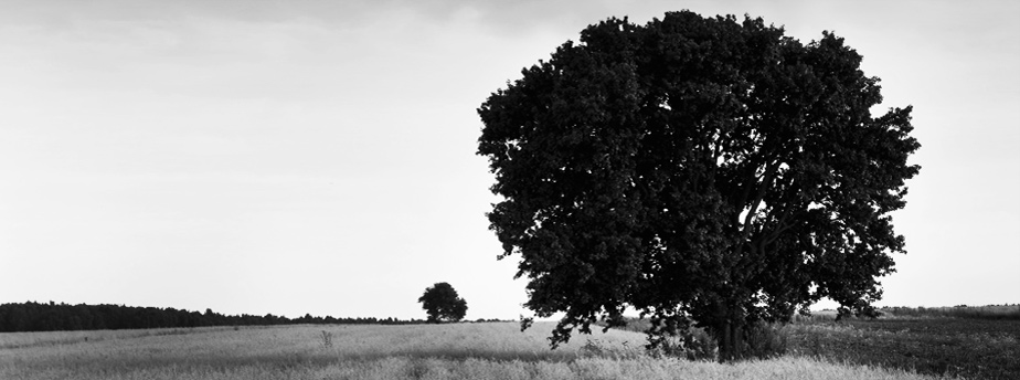 网站攻击软件工具